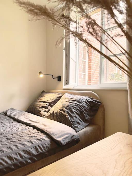 Natural Apartment In The City Center - Old Town Wroclaw Exterior photo